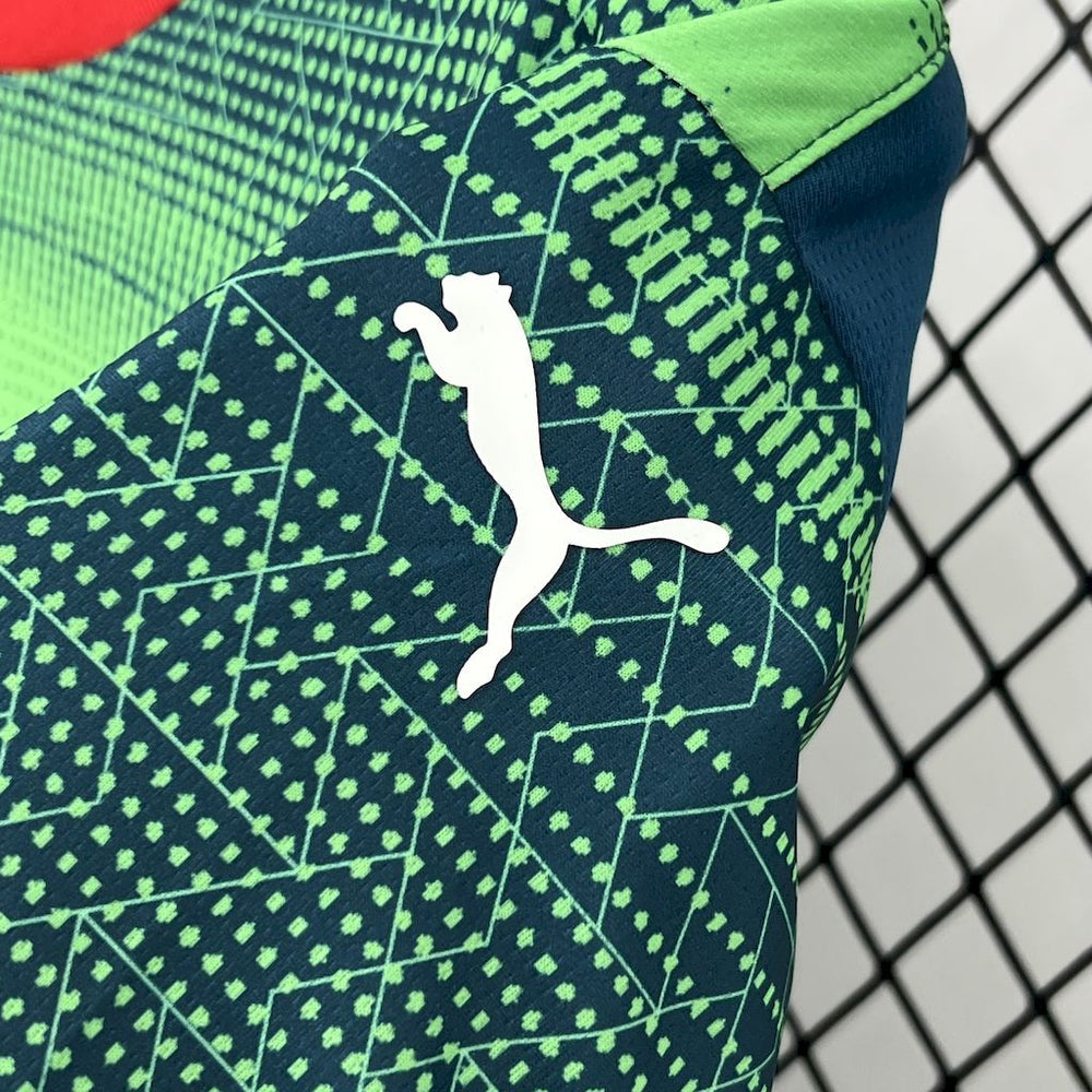 Camisola Seleção Portugal verde/azul 2025