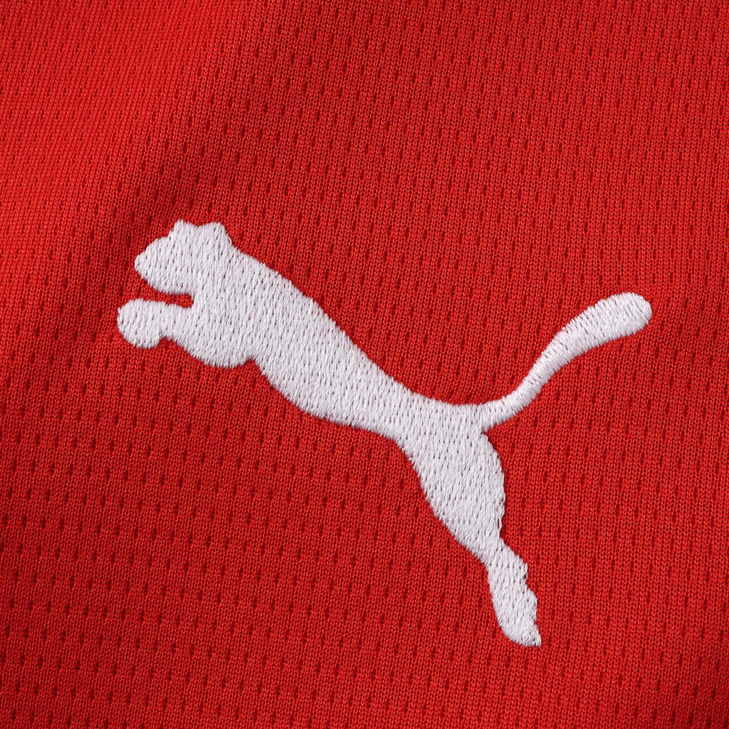 Camisola Seleção da Áustria principal vermelha - Copa do Mundo 2026