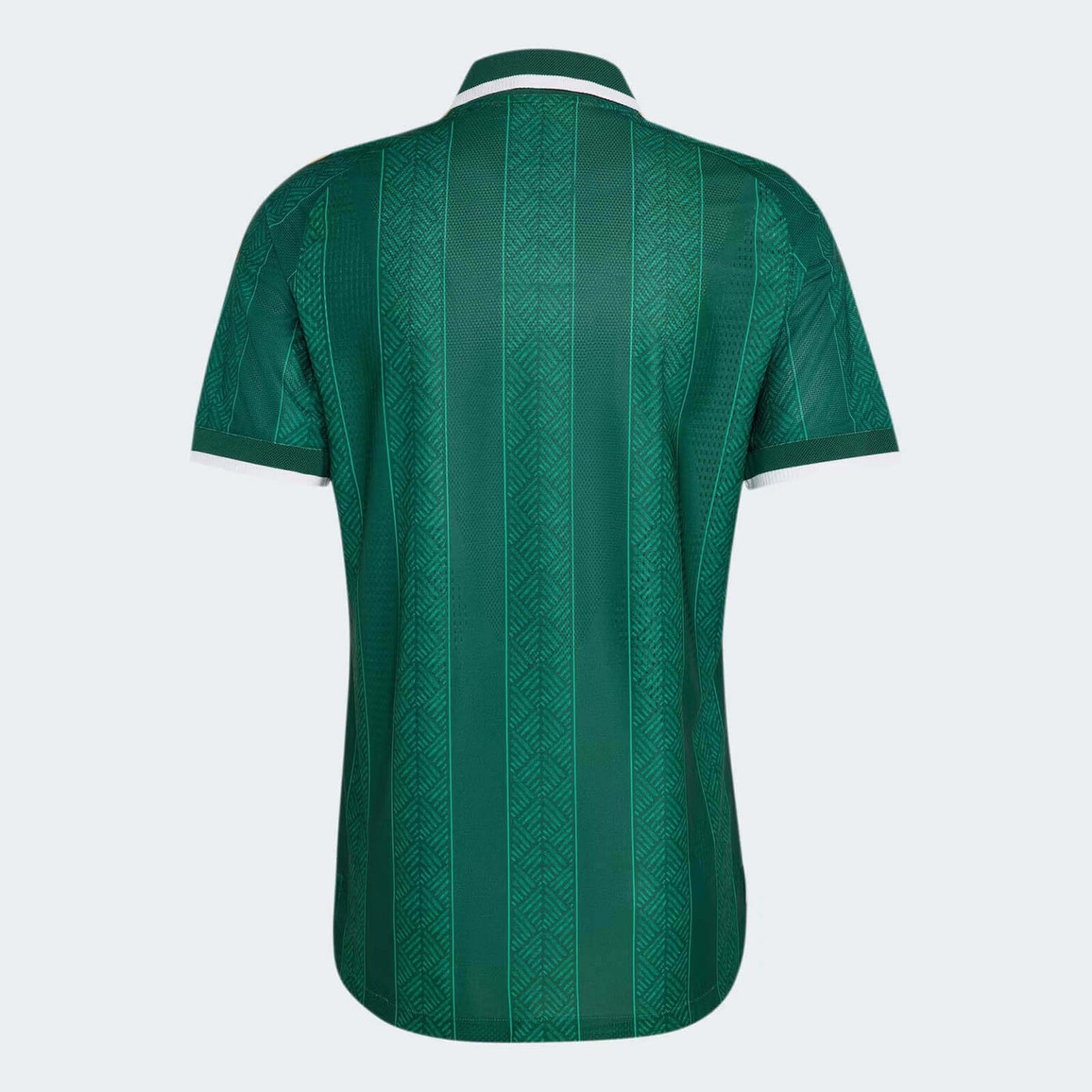 Camisola Seleção da África do Sul alternativa verde - Copa do Mundo 2026