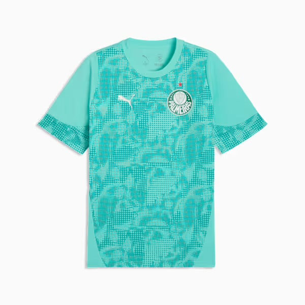 Camisola Palmeiras treino - azul 2026