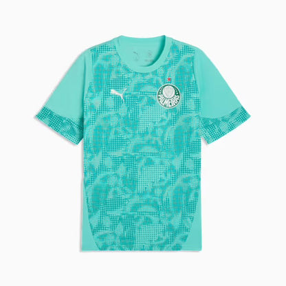 Camisola Palmeiras treino - azul 2026