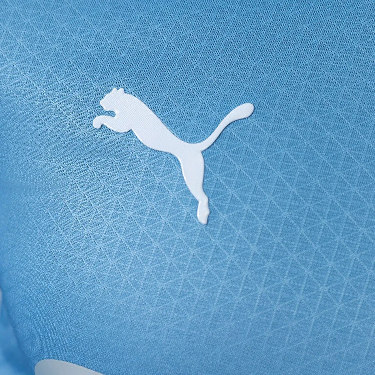 Camisola Manchester City Home 2026/27 - PLAYER - MANGA LONGA