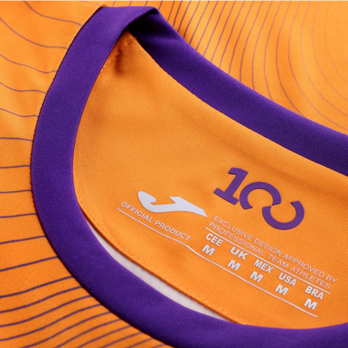 Camisola Fiorentina Guarda-Redes 2026/27 – imagem 6