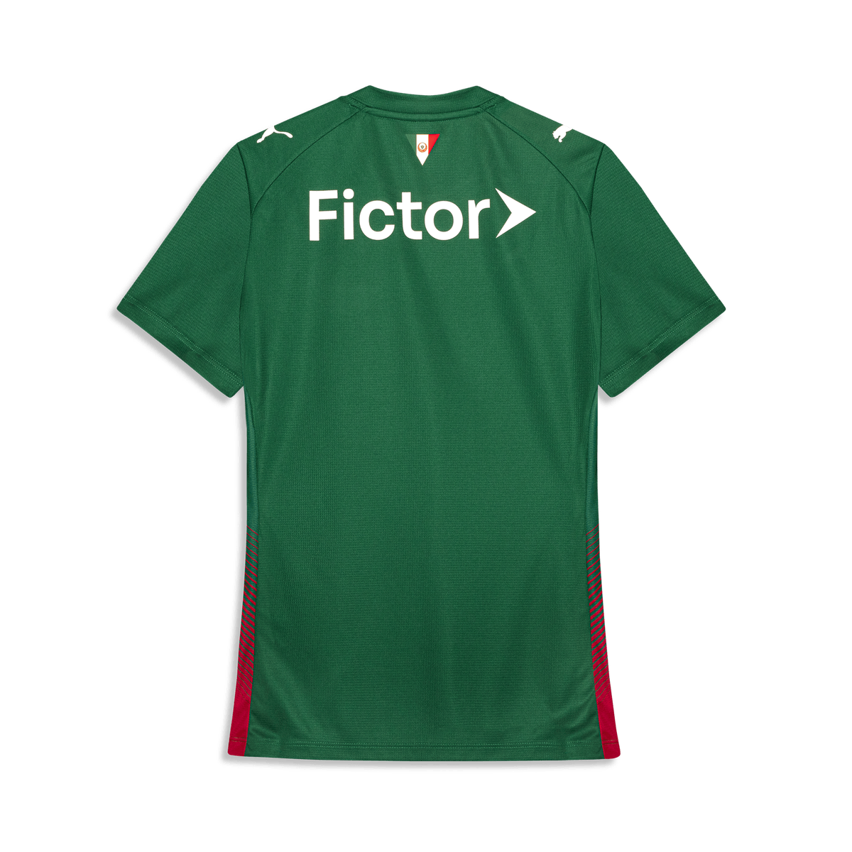 Camisola Palmeiras Feminina verde principal 2026/27