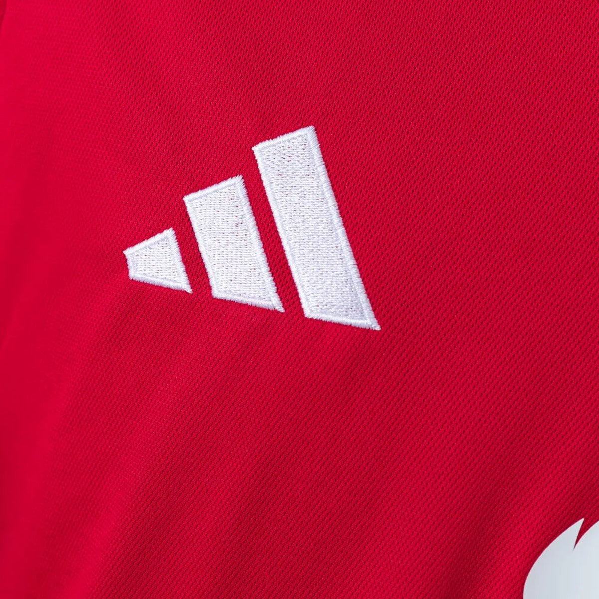 Camisola Manchester United Principal 2026/27 - MANGA LONGA
