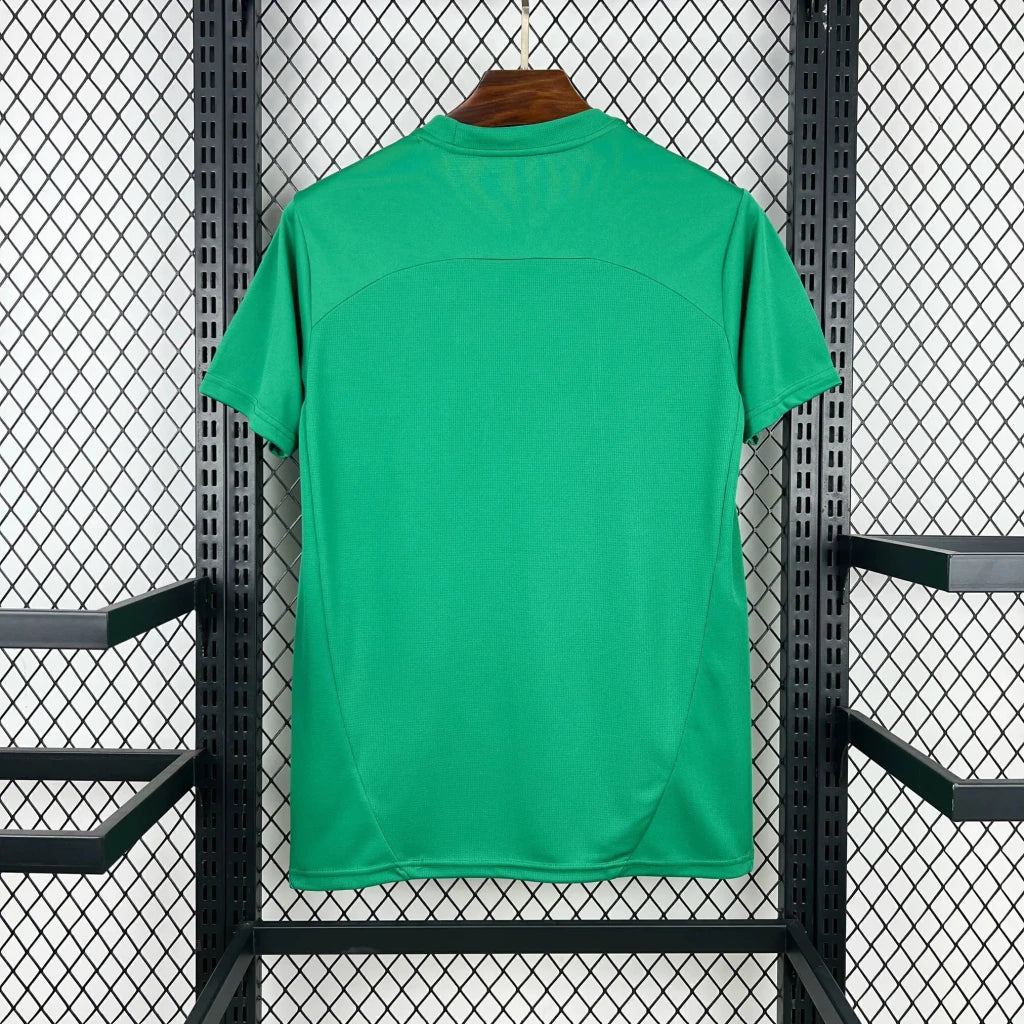 Camisola Fluminense treino 2026 verde