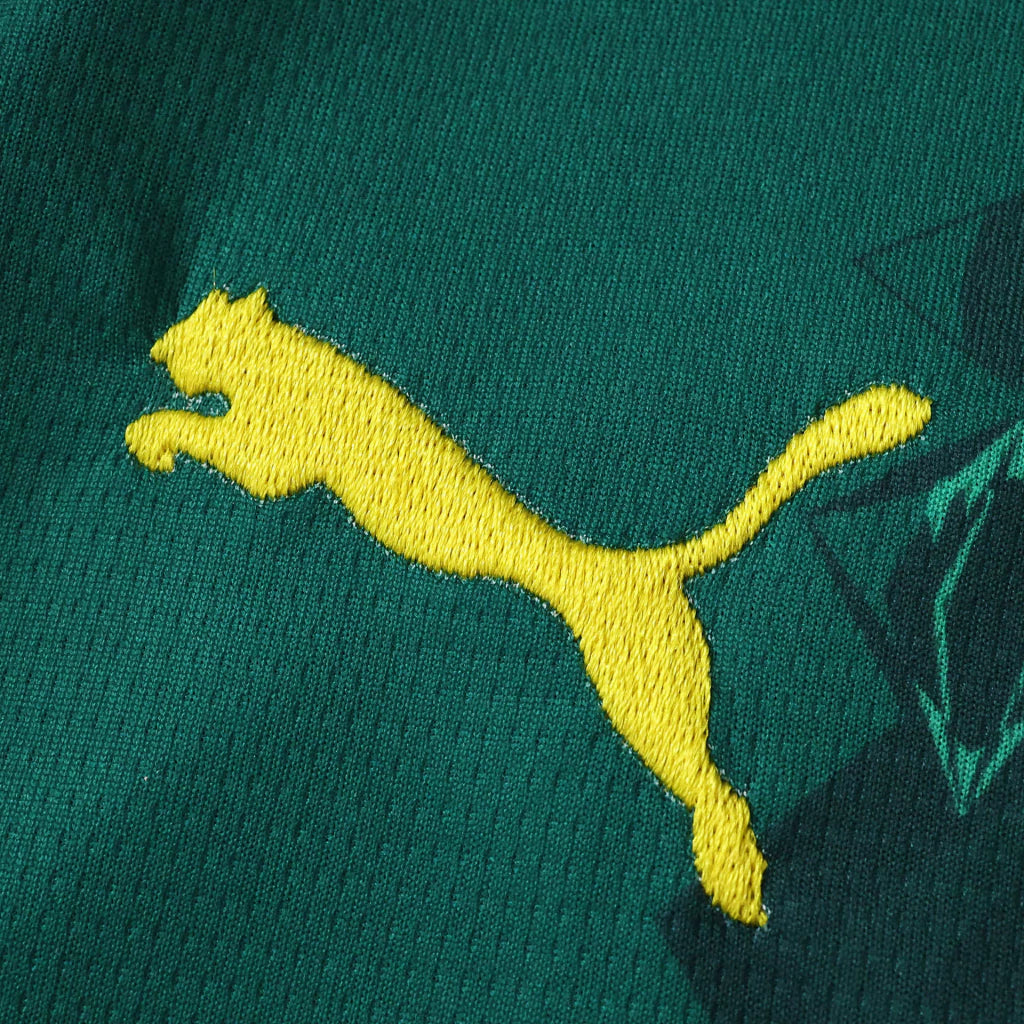 Camisola Seleção do Senegal alternativa verde - Copa do Mundo 2026