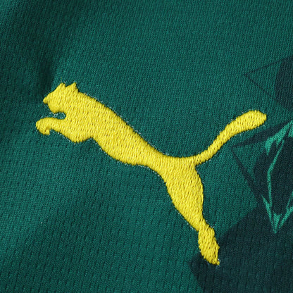 Camisola Seleção do Senegal alternativa verde - Copa do Mundo 2026