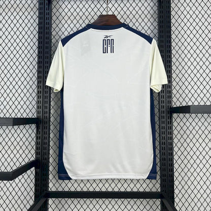 Camisola Botafogo 2026 treino - branca