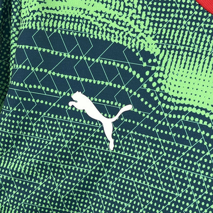 Camisola Seleção Portugal verde/azul 2025